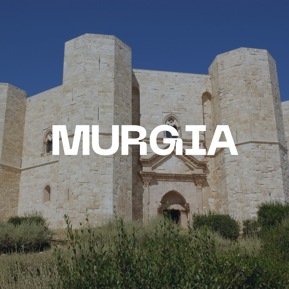 Martedì 8 Luglio, Murgia - visita guidata + cena e milonga in masseria